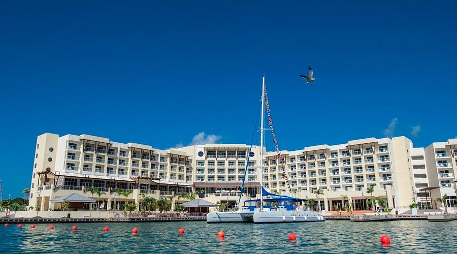 main view from the marina